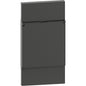 LN- Placa priza capac 2M Ng. - BTicino KG04P